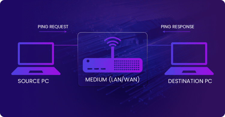 Enterprise Network Device Discovery: X-Ray Vision of Networks
