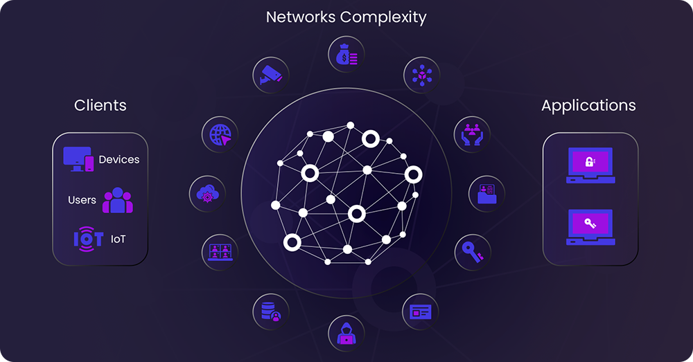Network Complexity 
